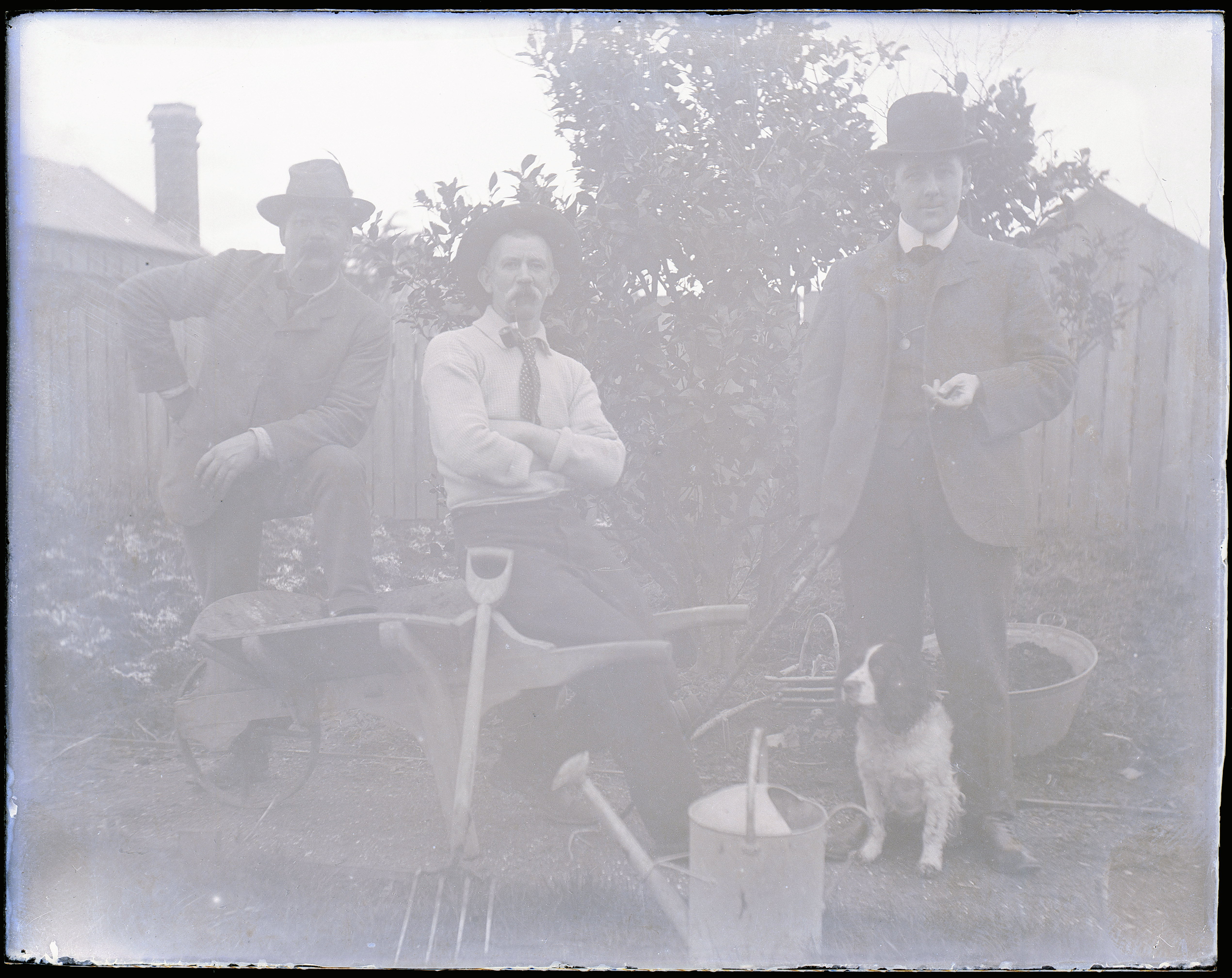 Gulliver photographs. &#39;Three men and a dog in the garden&#39;.